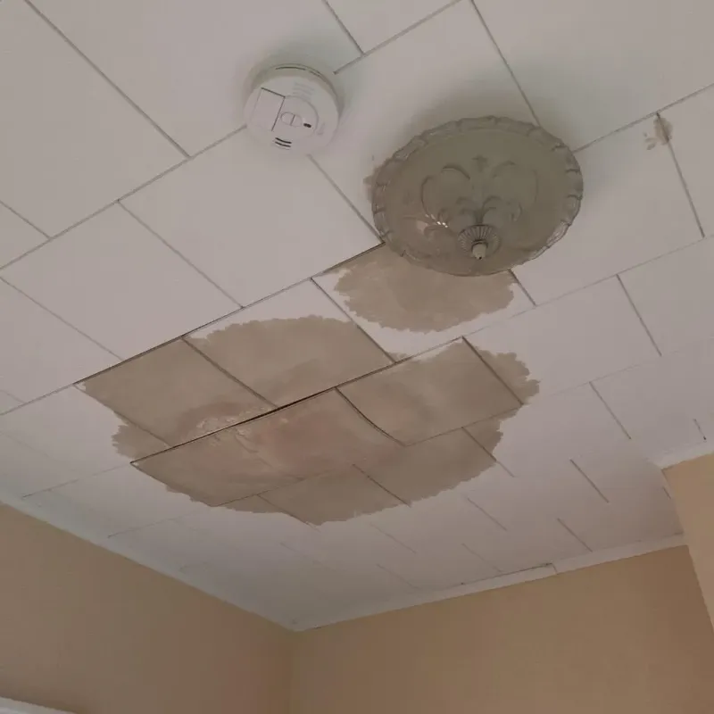 Ceiling Water Damage Repair in Dickeyville, WI