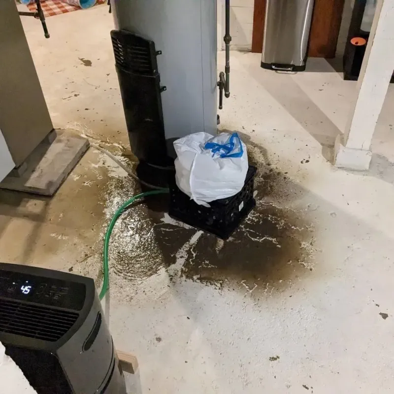 Sewage Backup Cleanup Service in Dickeyville, WI